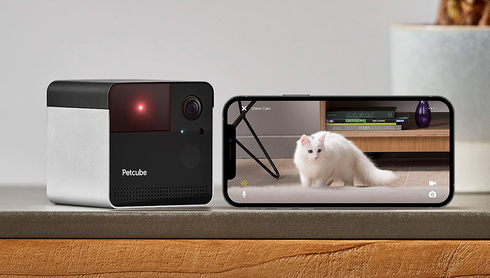 The 5 Best Pet Cameras For Cats
