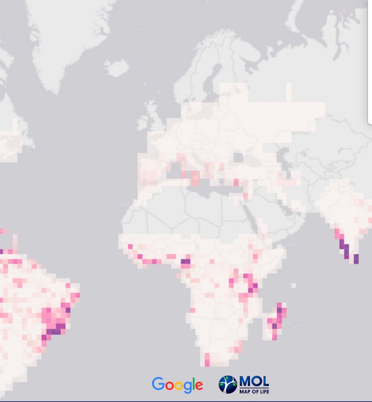 Map of undiscovered species shaded in by color noting the likelihod of discovery