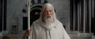 Gandalf in "The Lord of the Rings"