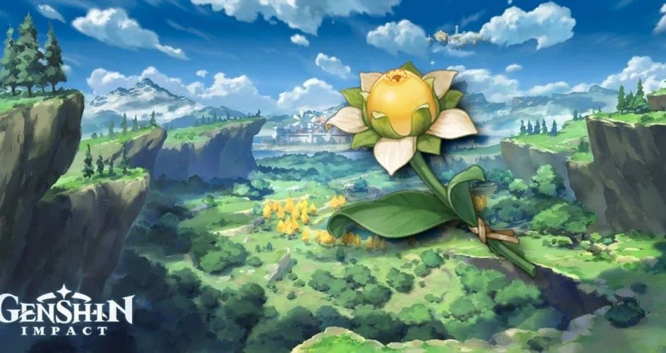 'Genshin Impact' Windblume Festival flower choice What all 6 options mean