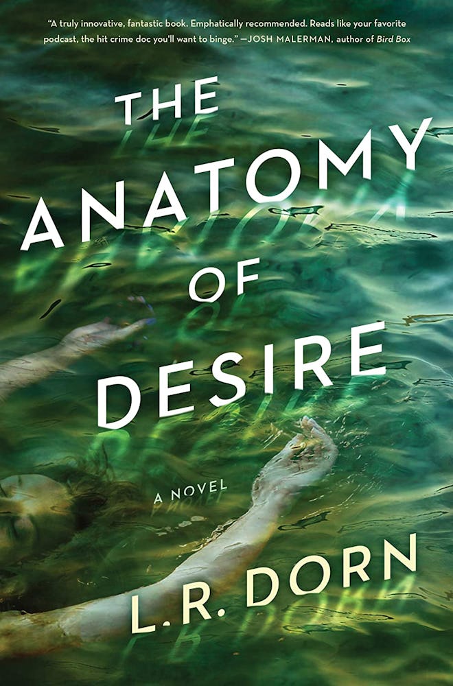 'The Anatomy of Desire' by L.R. Dorn