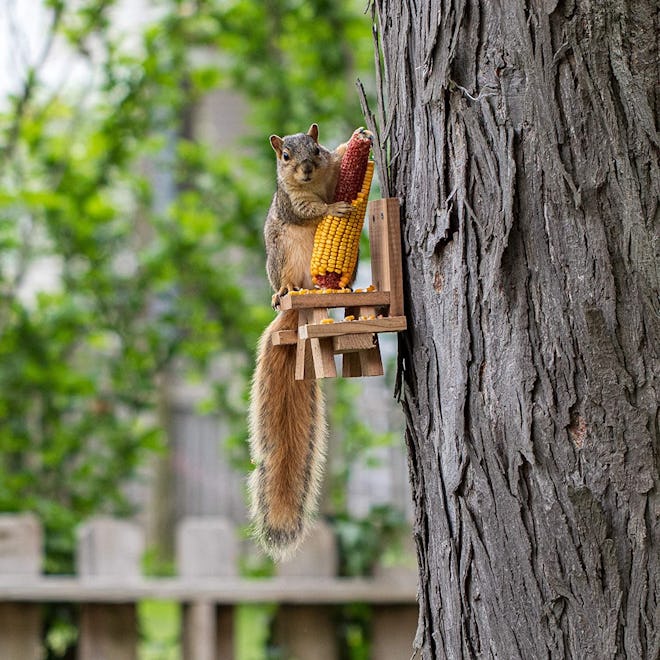 American Heritage Industries Squirrel Picnic Table