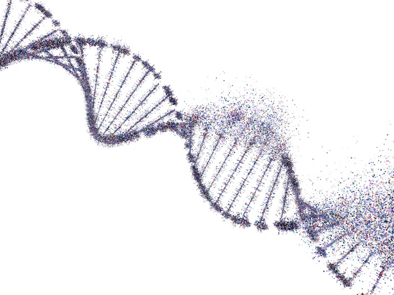 dna strand dissolving