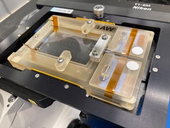 The NemaFlex hardware is shown with its image cassettes and the camera of a microscope.