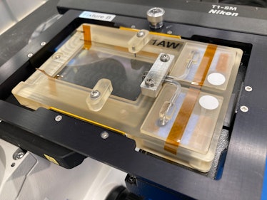 The NemaFlex hardware shown with its imaging cassette and a microscope’s camera.