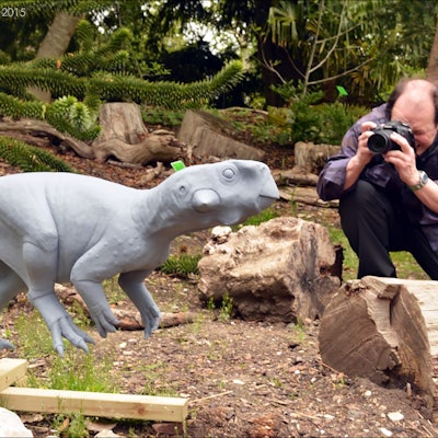the making of the Psittacosaurus replica