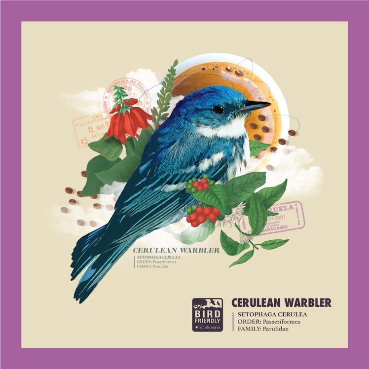 bird friendly coffee smithsonian warbler