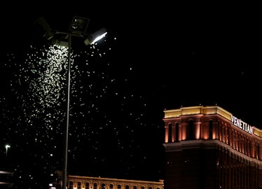 Grasshoppers near light on Las Vegas Strip