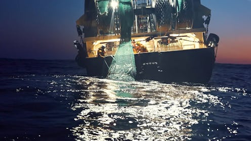Footage taken by Sea Shepherd for Netflix's 'Seapiracy'