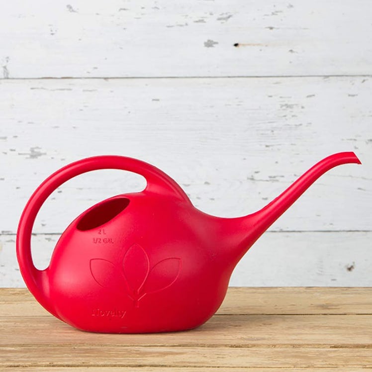 Novelty Indoor Watering Can