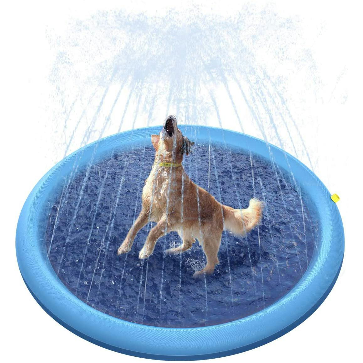 The 4 Best Dog Pools