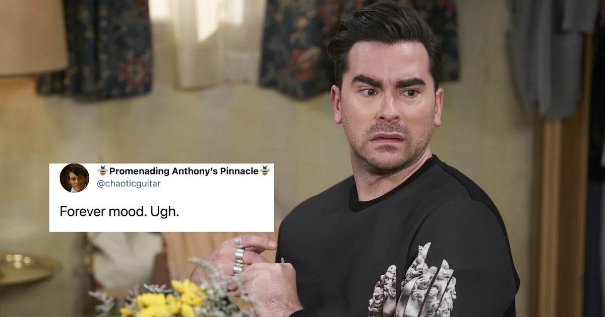photo You're Simply The Best Schitt's Creek Meme these schitt s creek david memes have