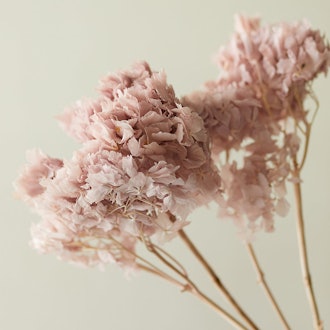 Preserved Hydrangea Bunch