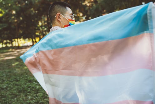 Person holding trans rights flag