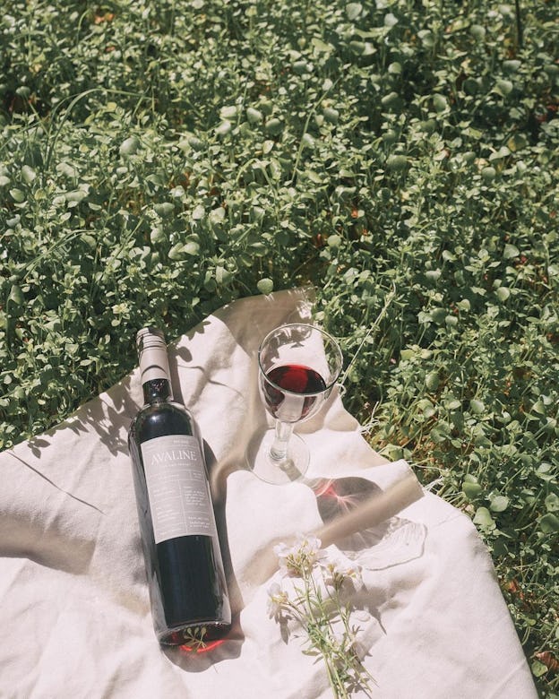 A wine glass and bottle on a white picnic blanket