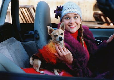 Legally Blonde featuring Reese Witherspoon is a great example of a female-empowerment film. 