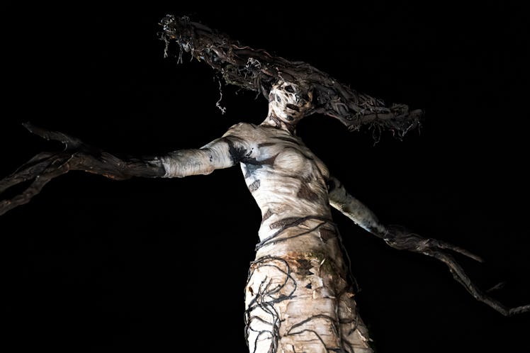 Brady Romberg as The Birch in The Birch Season 2