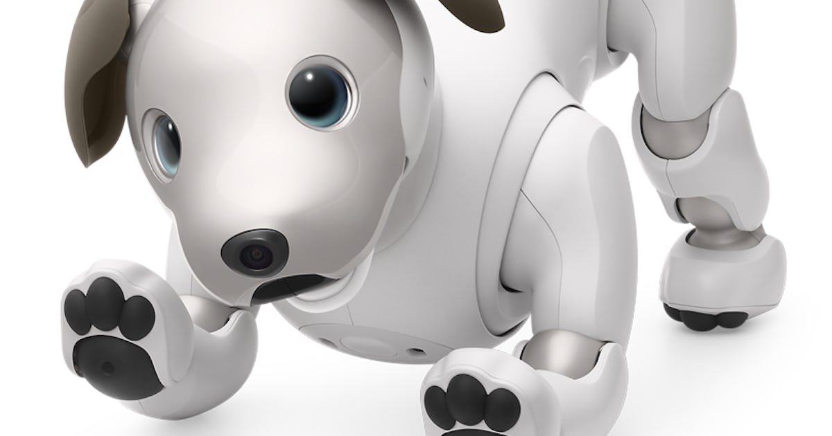 Sale robot best sale