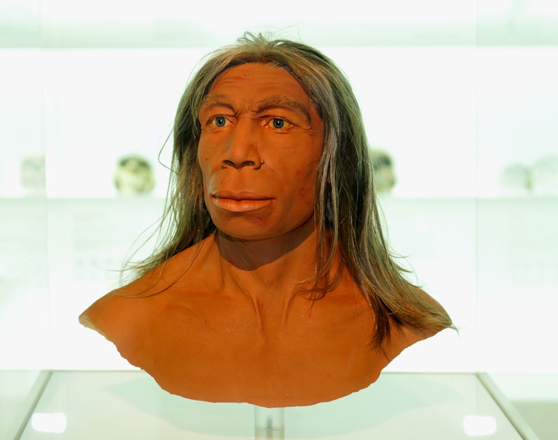 When did the last Neanderthal die? New study changes the timeline