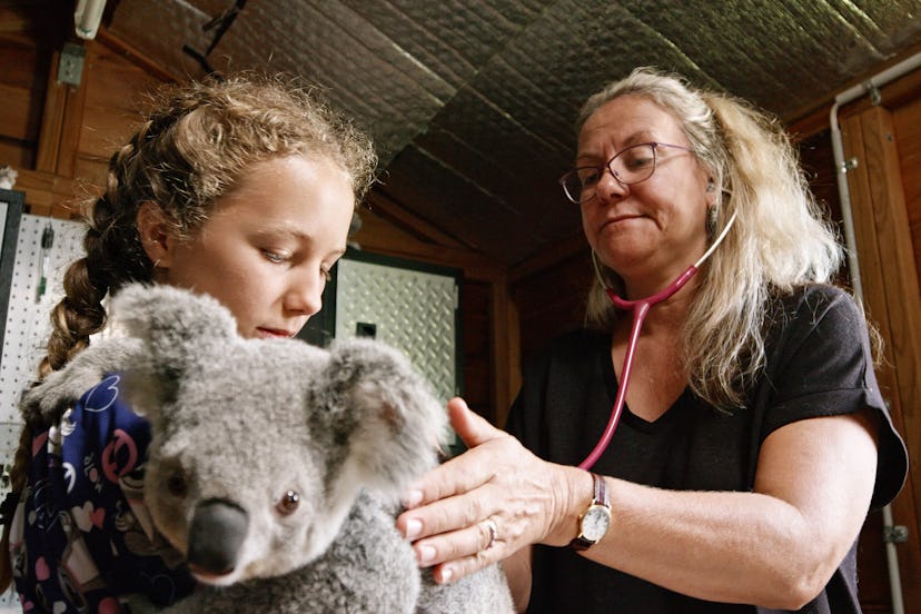 'Izzy's Koala World' is a nature documentary about a young girl and the koala she's rehabilitating.