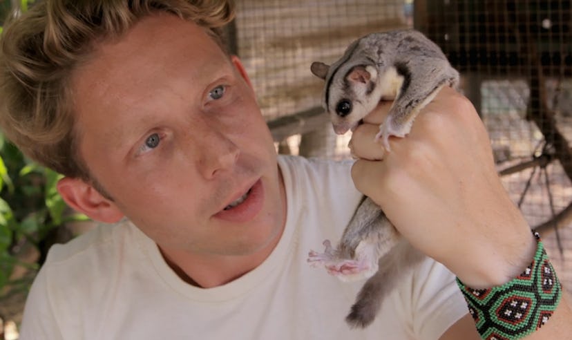'Fearless Adventures with Jack Randall' is an animal show on TV that takes viewers around the world ...