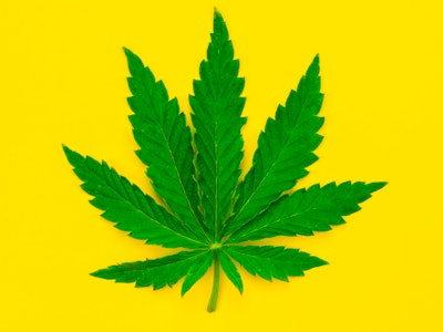 Marijuana leaf, cannabis, weed