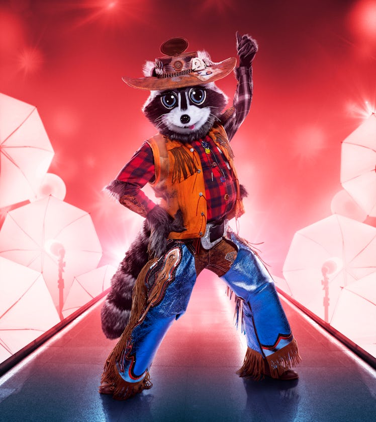 Raccoon on The Masked Singer