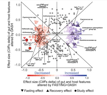 Grafik, die Veränderungen der Darmbakterien beim Fasten nur mit Diät im Vergleich zur Diät zeigt