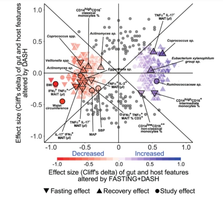 Graph showing changes in gut bacteria for fasting with diet versus diet only