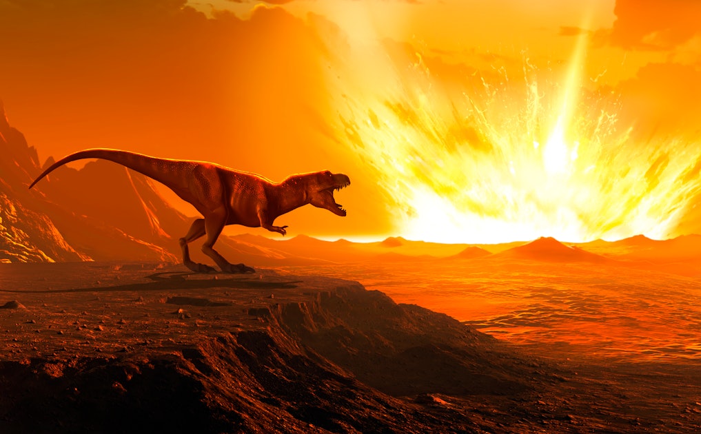 The asteroid that killed dinosaurs caused the birth of something great