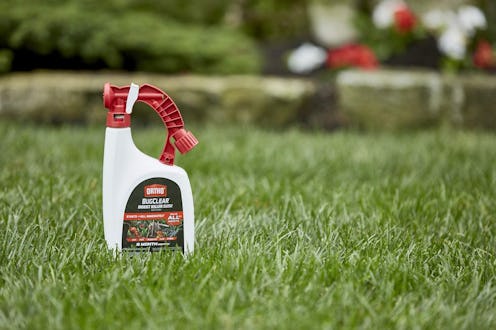 Best tick sprays for yards