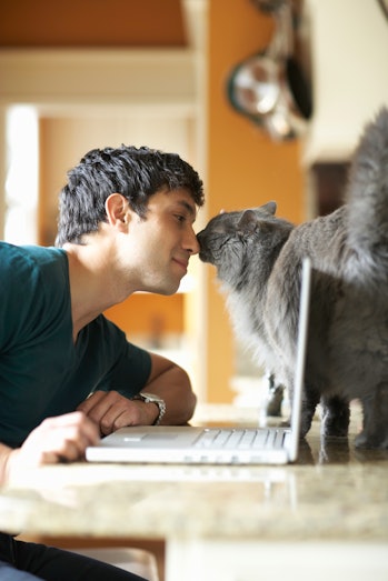 Man rubbing noses with cat