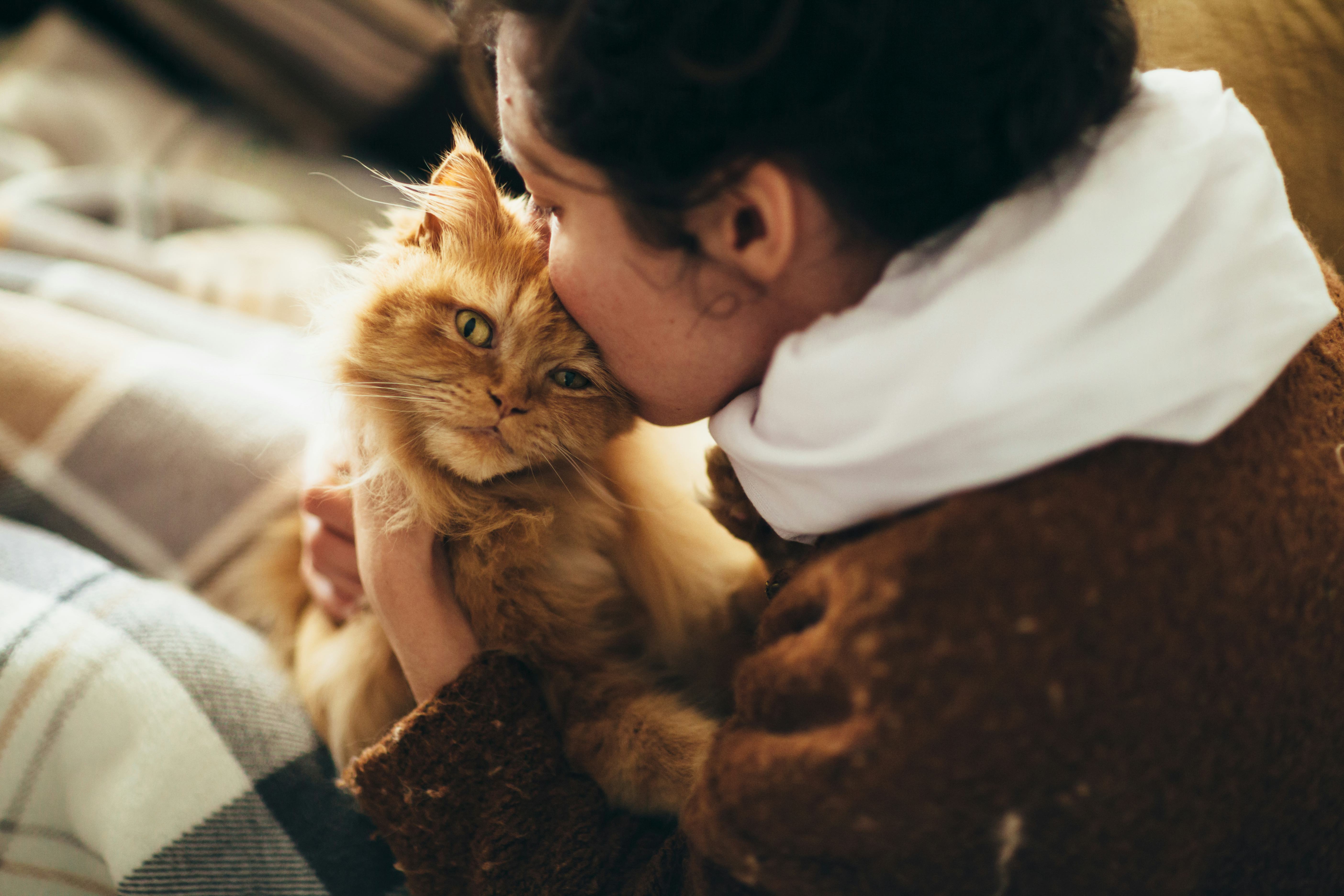 Does my cat love me? Science explains