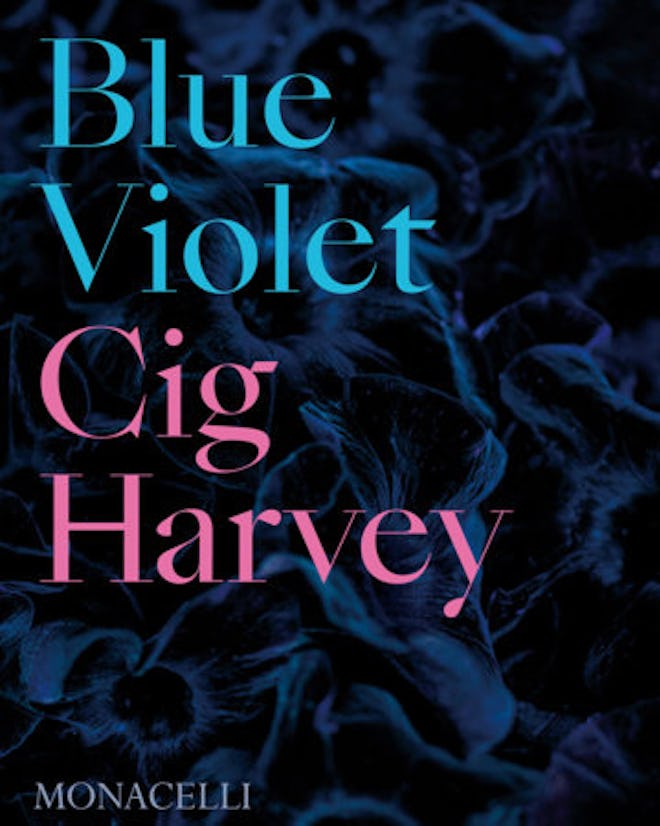 Blue Violet by Cig Harvey