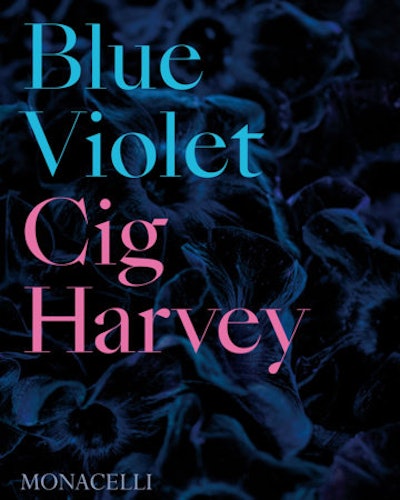 Blue Violet by Cig Harvey