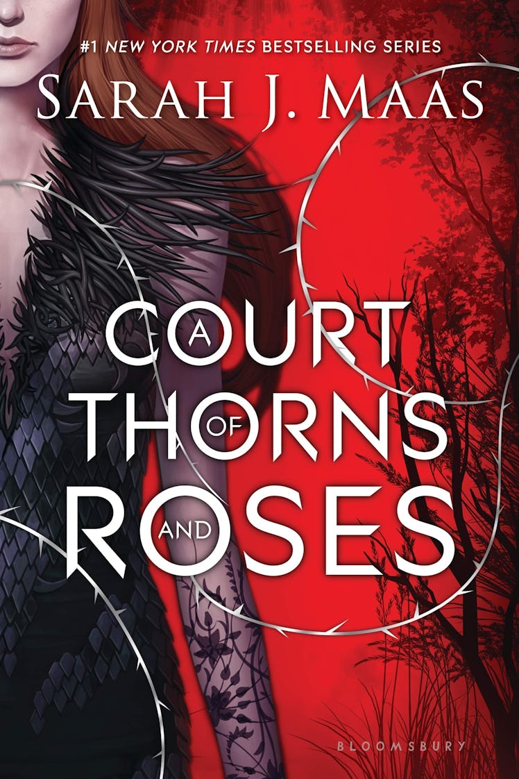 'A Court of Thorns and Roses' is a popular series on TikTok's #BookTok and is a book like 'Shadow an...