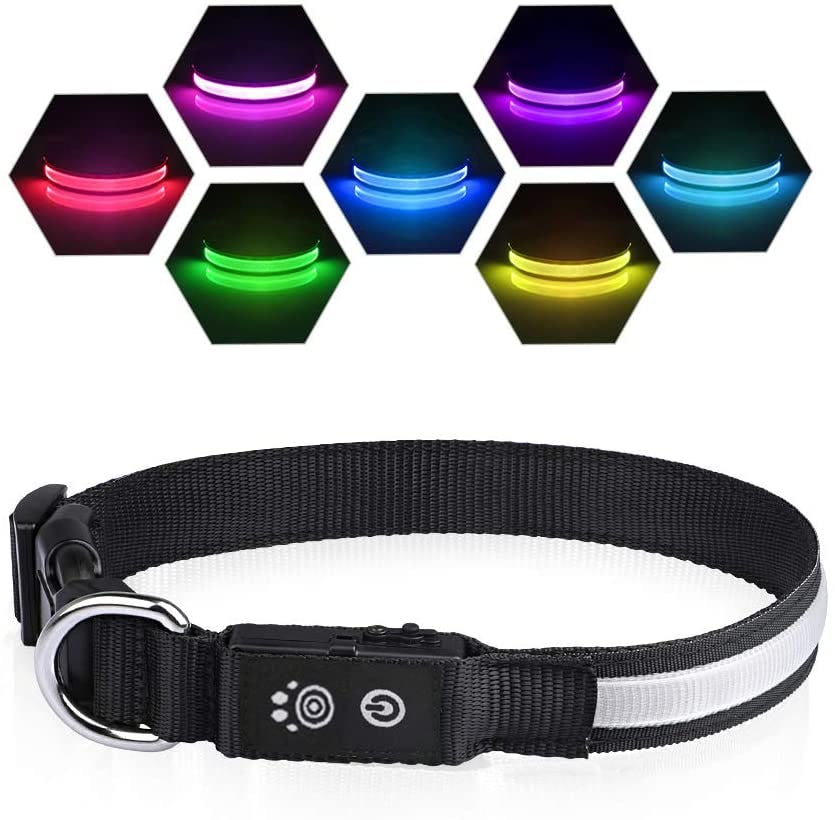 The 5 Best LED Dog Collars