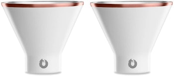 SNOWFOX Insulated Martini Glasses (2-Pack)