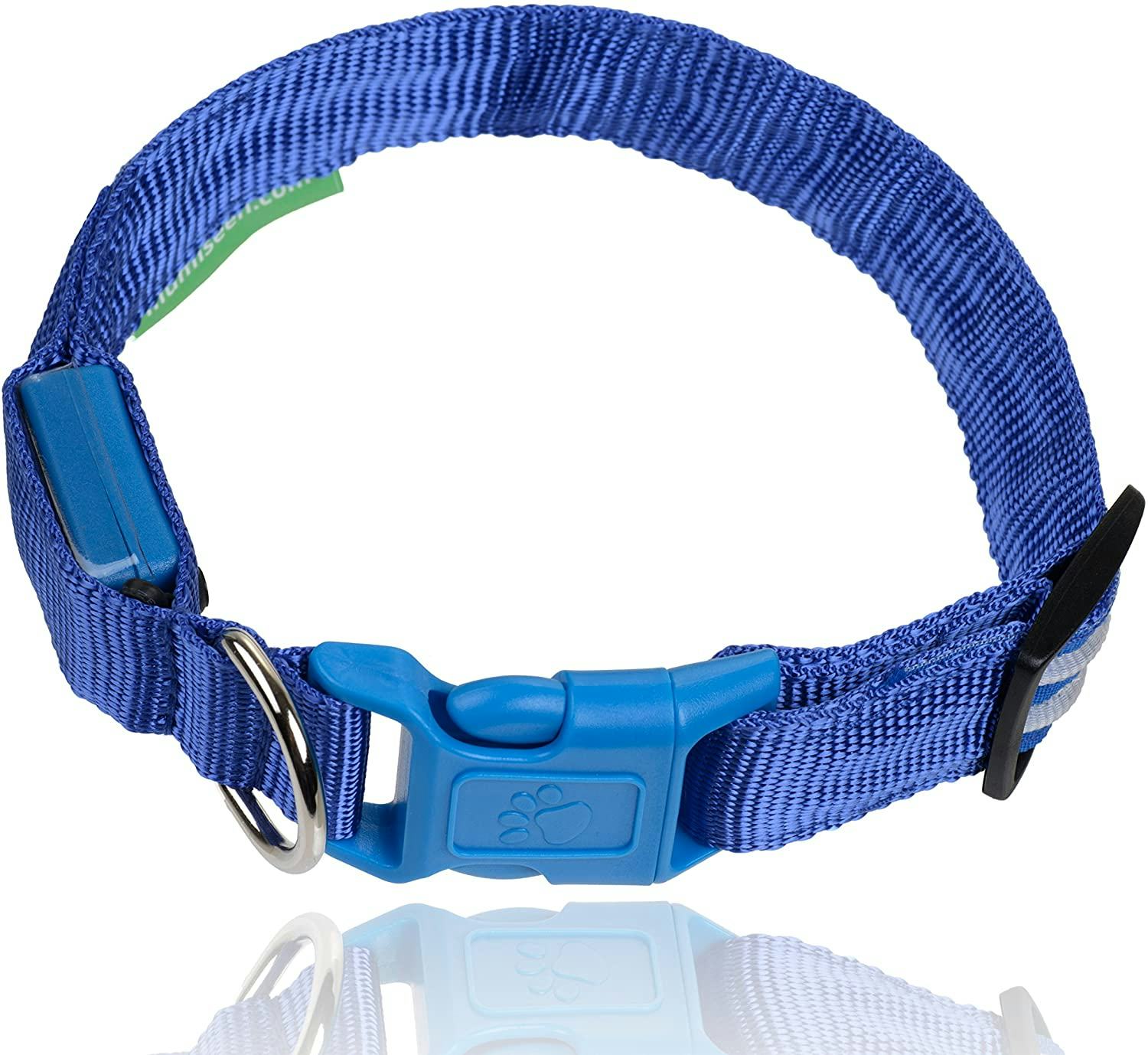 The 5 Best LED Dog Collars