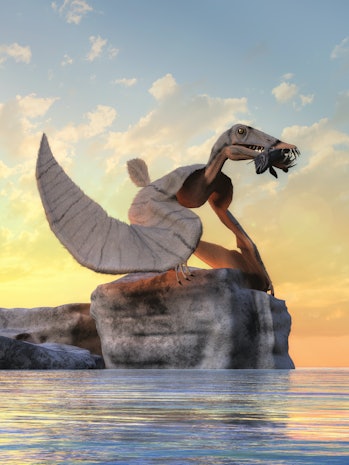 This 3D rendering shows a Dorygnathus, an extinct pterosaur that flew in the Jurassic-era skies. It had sharp teeth that it used to seize fish. Here a grey one sits on a rock by the water with its lunch.