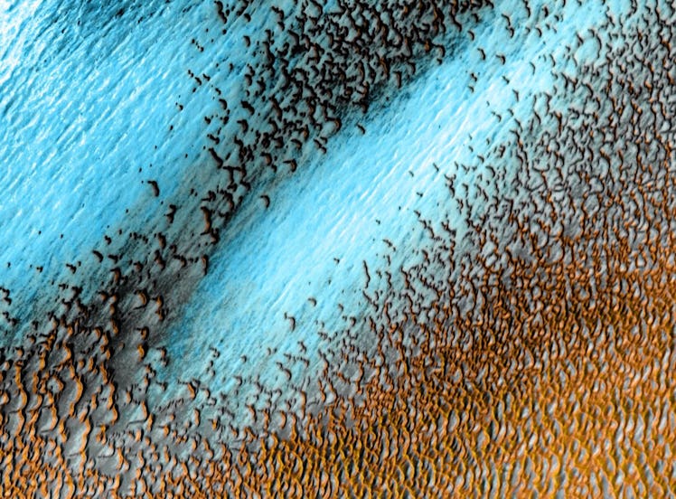 Tweets about NASA's photo of blue dunes on Mars show people are in awe of the shot.