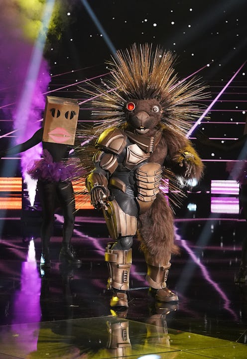 Robopine performing on 'Masked Singer' via FOX press site.