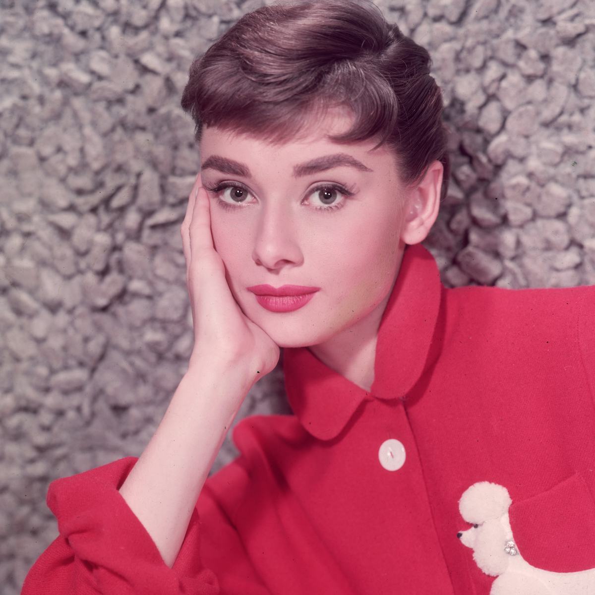 An Audrey Hepburn TV Show Is Coming Soon
