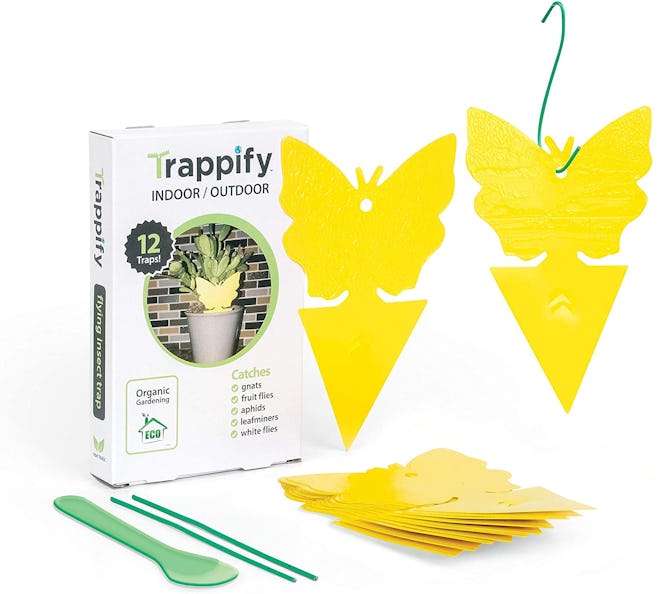 Trappify Sticky Nat Traps (12-Pack)
