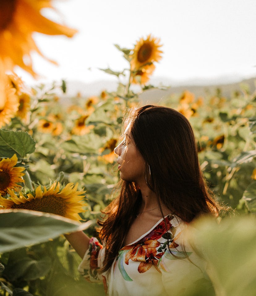 sunflower quotes, sunflower captions, sunflower puns