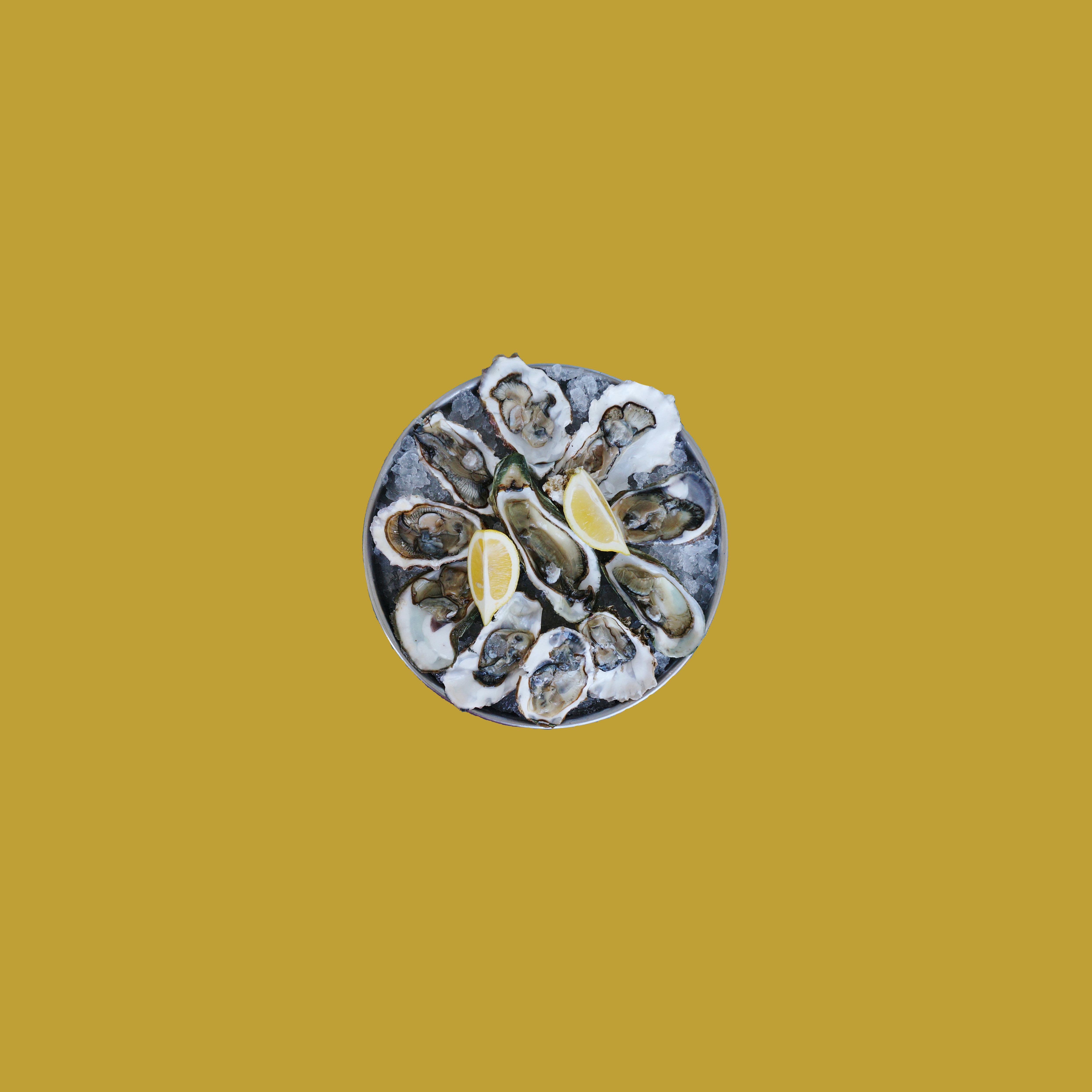 Raw oyster plate with two lemons on a yellow background