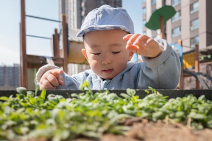 9 Fun Things To Know About Your Taurus Baby