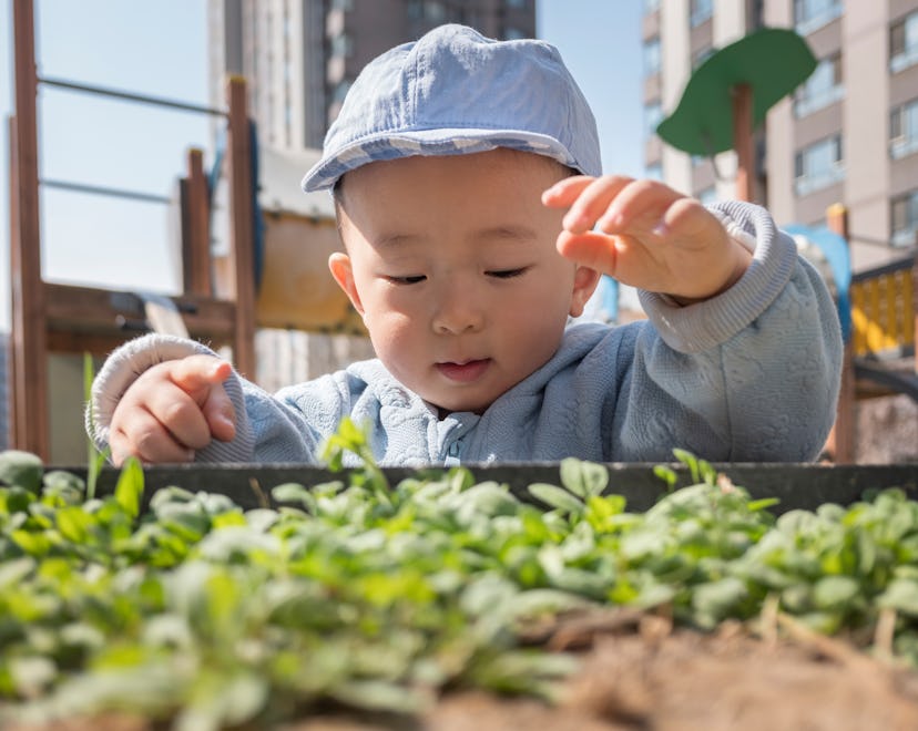 baby gardening outdoors, Taurus baby facts