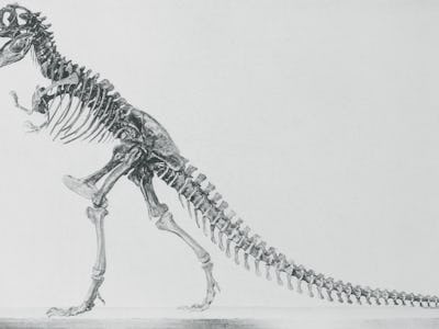 How many T. rexes were there? Billions.