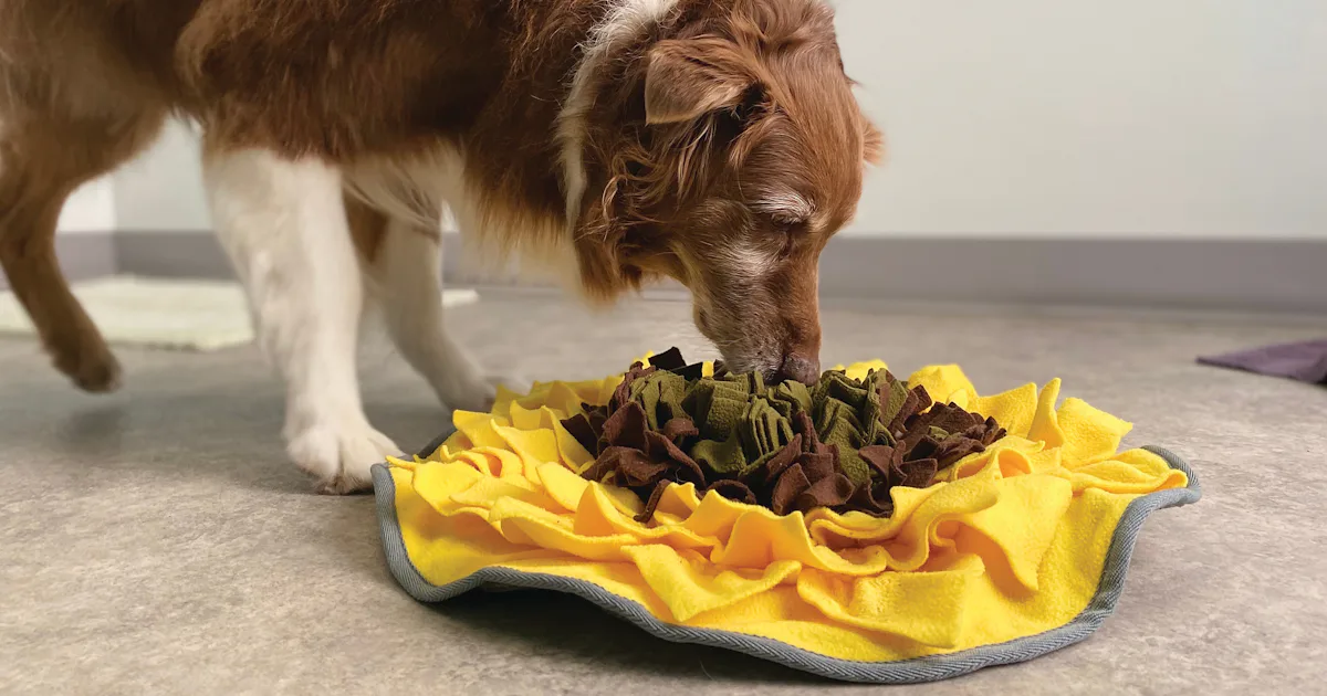 The 4 Best Snuffle Mats For Dogs